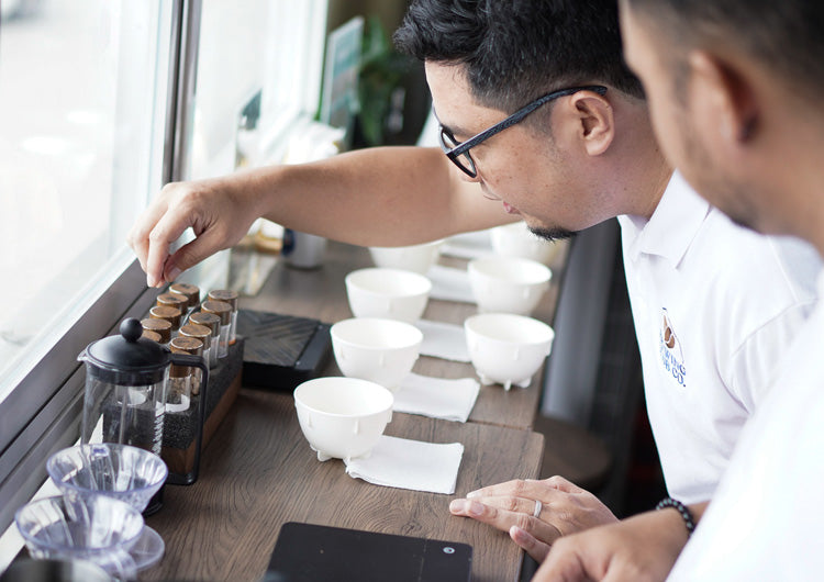 Participant learning espresso extraction