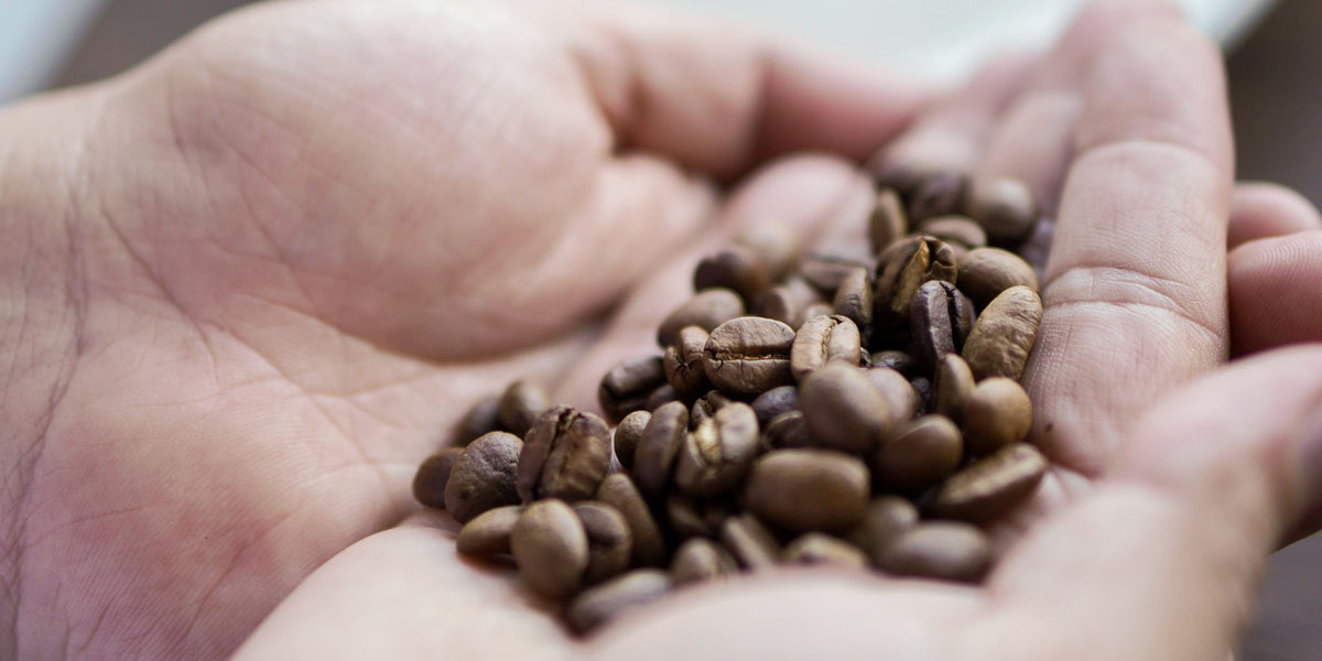 Brewing Club Philippine coffee subscription